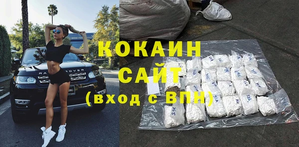 стаф Алзамай