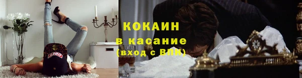 стаф Алзамай