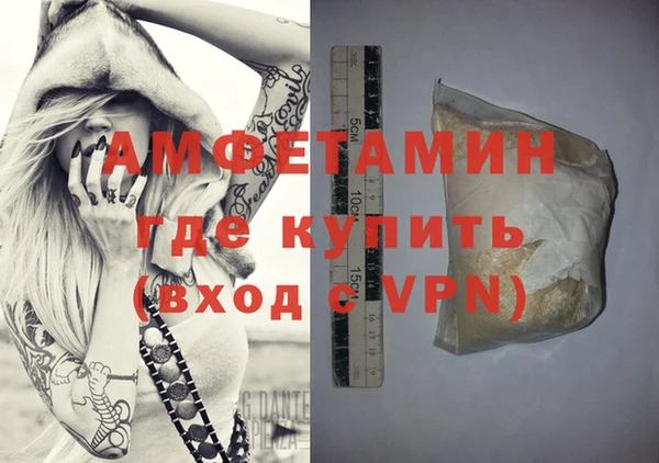 стаф Алзамай