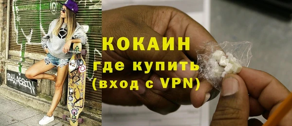 стаф Алзамай