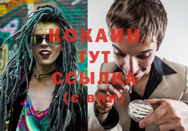 стаф Алзамай