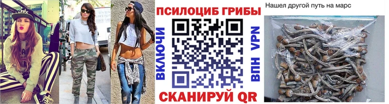 гидра как зайти  Тобольск  Псилоцибиновые грибы Psilocybine cubensis 