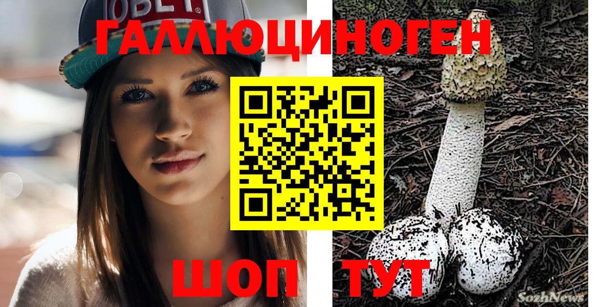 Тобольск  Галлюциногенные грибы Psilocybe  Вход с VPN 