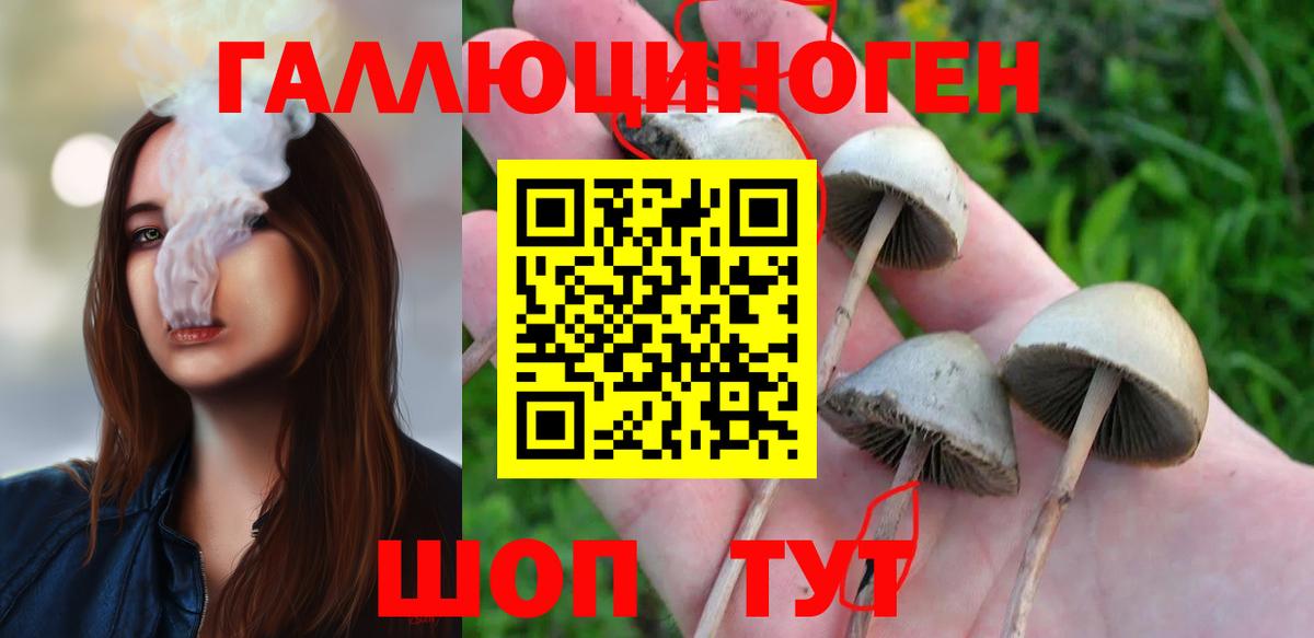 Галлюциногенные грибы мицелий Тобольск